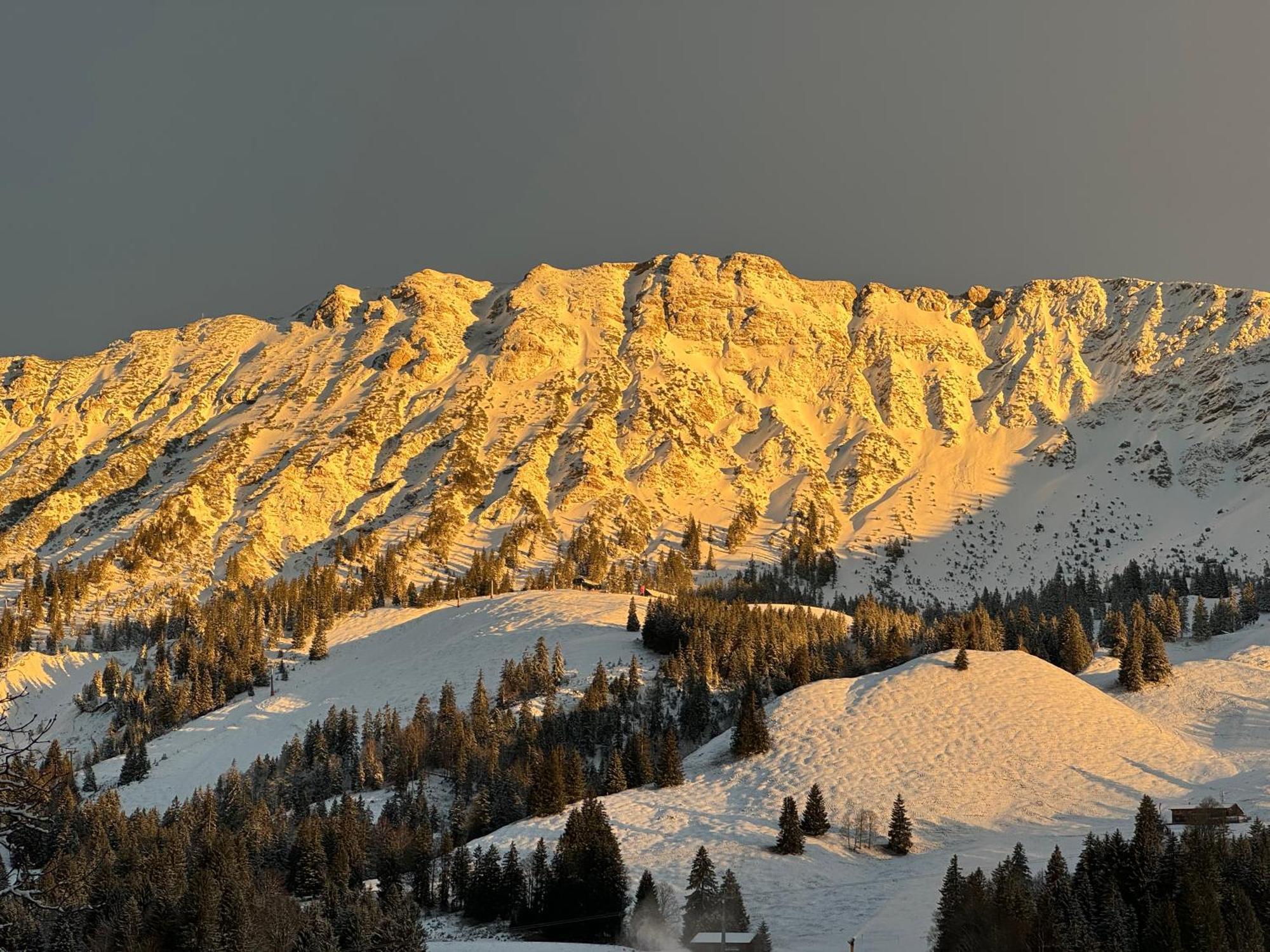 Lanig Hotel Resort&Spa - Wellness Und Feinschmeckerhotel - Family Owned And Managed Oberjoch Eksteriør bilde